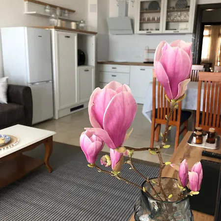 Διαμέρισμα 2 Bedroom With 2 Balconies And Sea Views