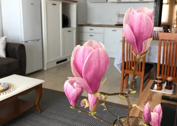 아파트 2 Bedroom With 2 Balconies And Sea Views